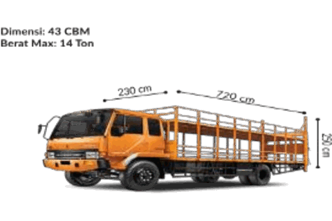 CDD Motor Carrier Long